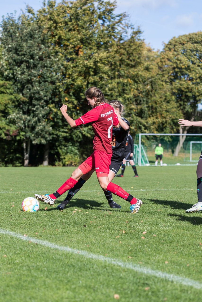 Bild 83 - F RS Kiel 2 - SV Henstedt Ulzburg 2 : Ergebnis: 1:3